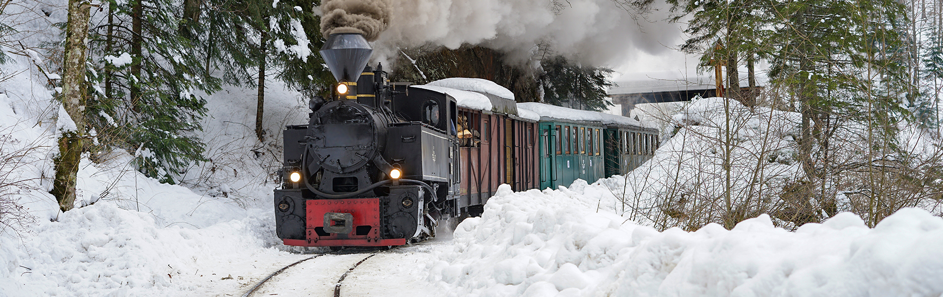 Image for Vlak u snijegu