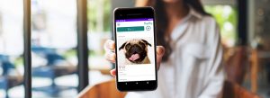 Image for DogBlog – aplikacija za vlasnike i ljubitelje pasa
